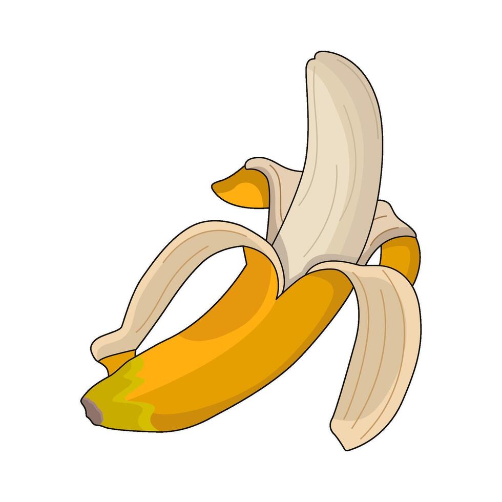 illustration of banana vector