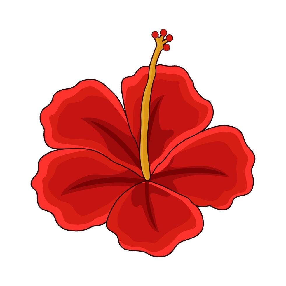 illustration of hibiscus vector