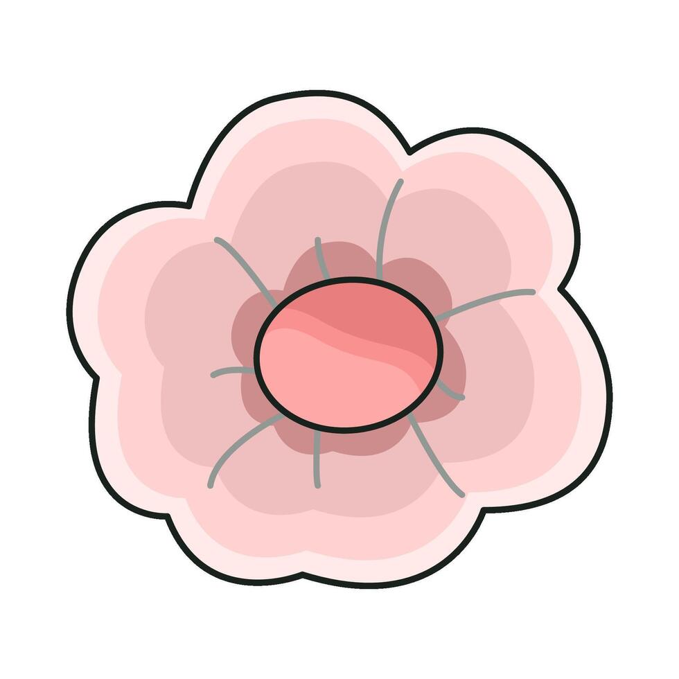 illustration of cherry blossom vector