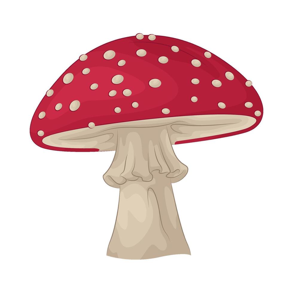 Illustration of mushroom vector