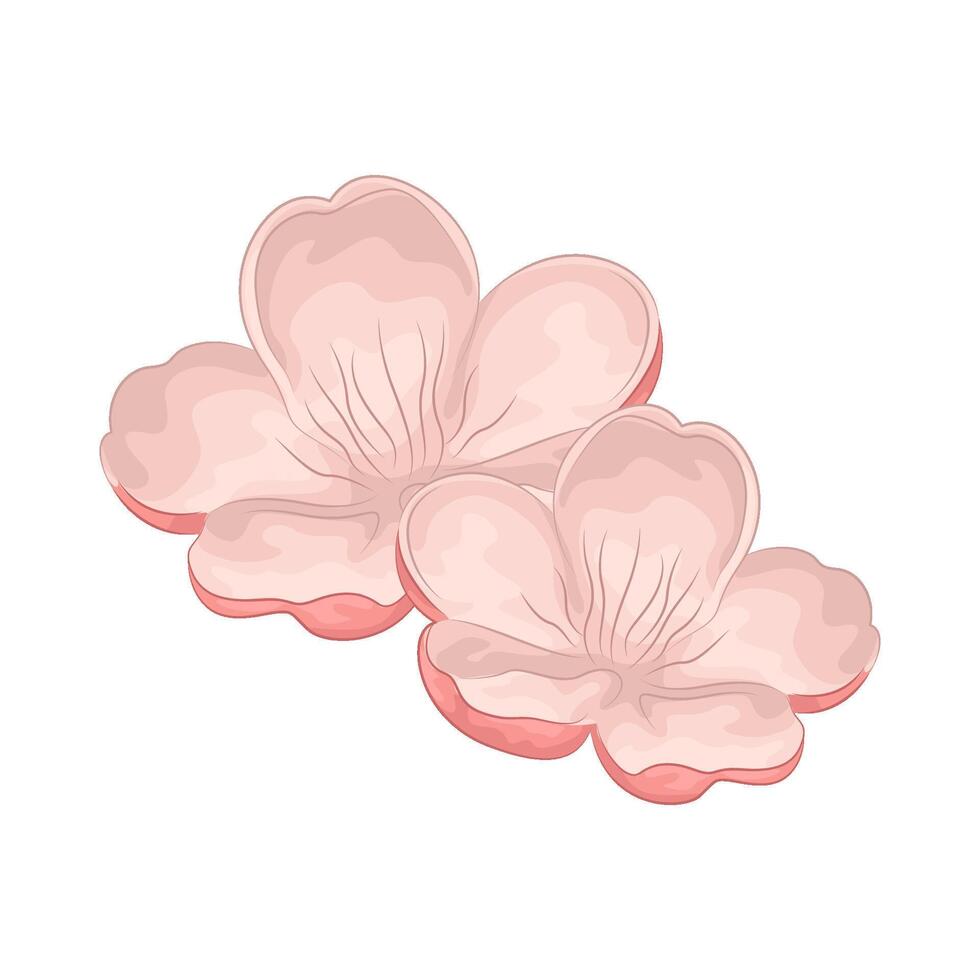 Illustration of sakura vector