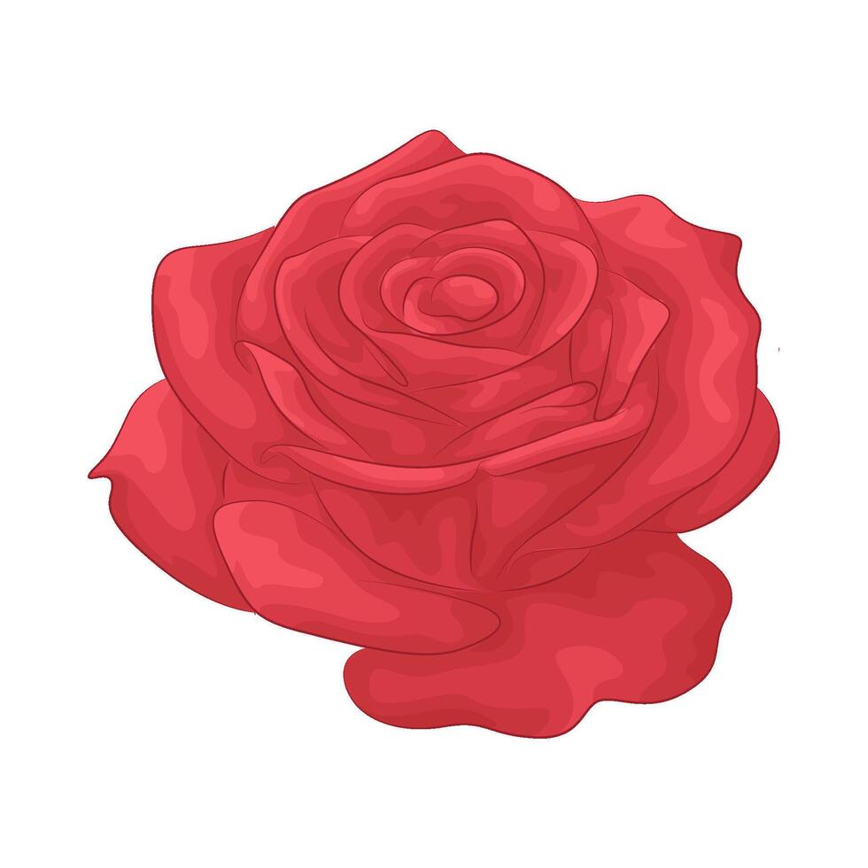 Illustration of rose vector