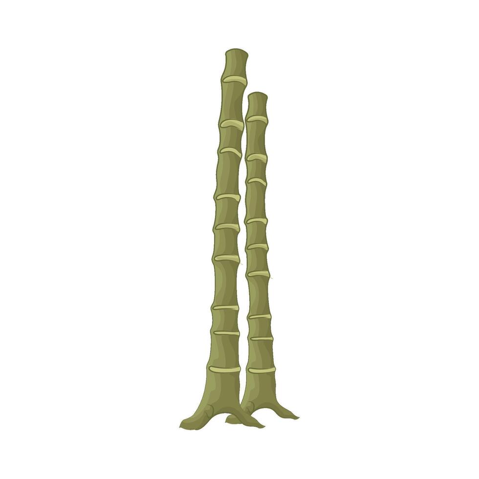 Illustration of bamboo vector