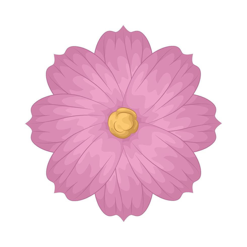 Illustration of cosmos flower vector