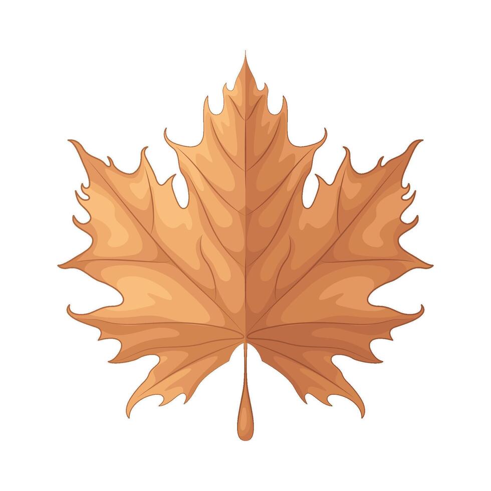 Illustration of autumn leaf vector