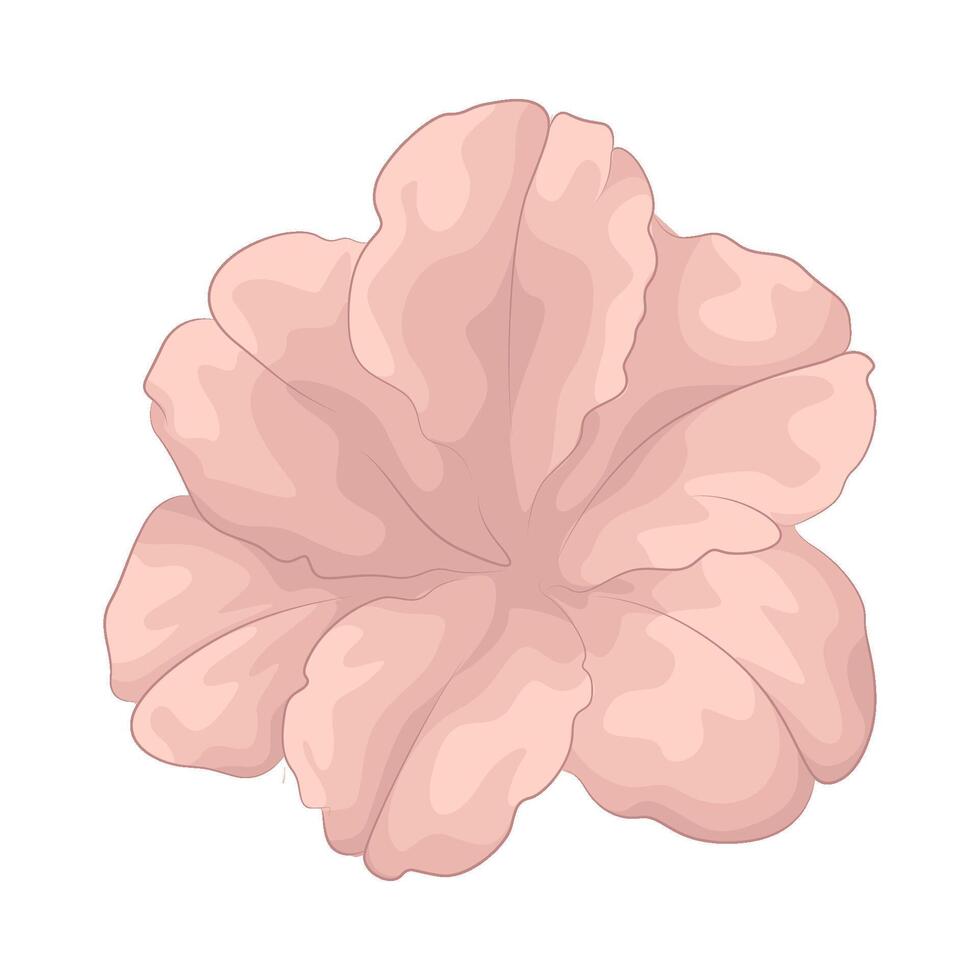 Illustration of Petunia flower vector