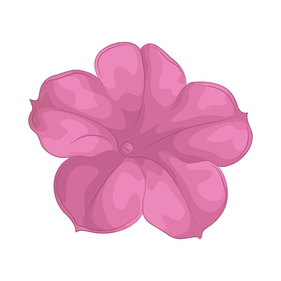 Illustration of phlox flower vector
