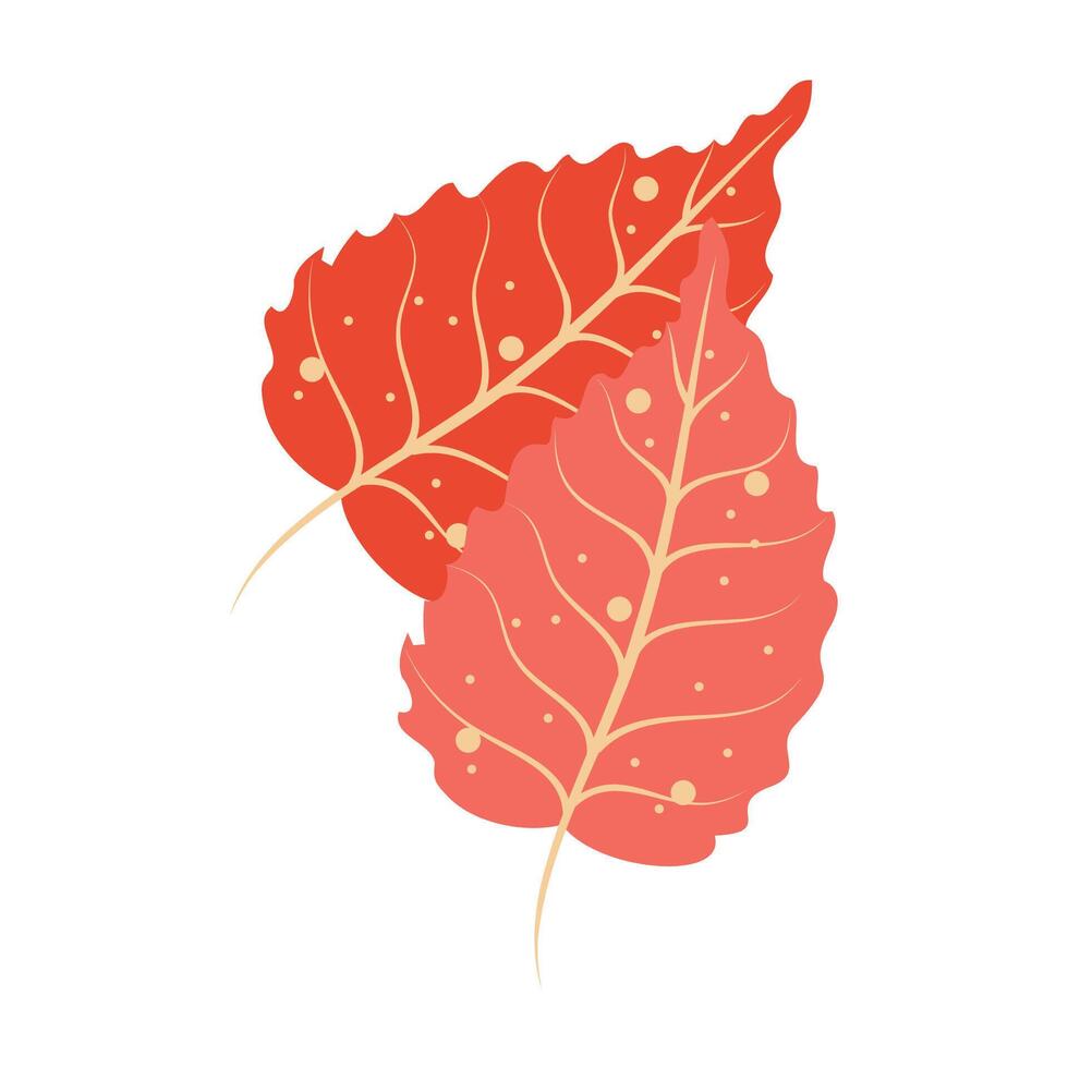 Autumn decorations and frames. Colorful Autumn Leaves vector