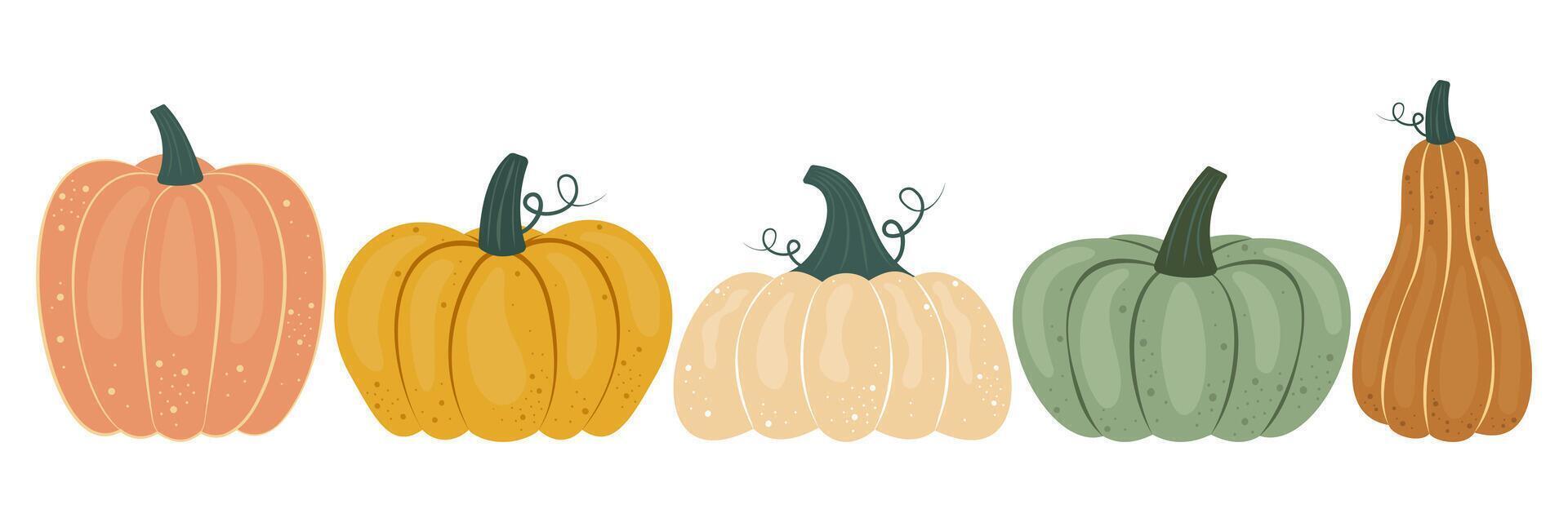 Set of various pumpkin in cartoon groovy funky style. Collection of different shapes gourds. Cute colored, flat pumpkin autumn harvest, fall. vector