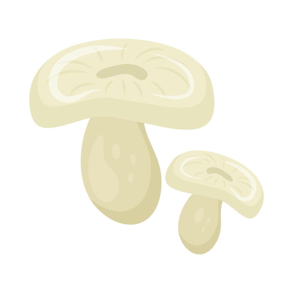 Flat cute bright colors of mushroom. Food, autumn, and spring. Nature. vector