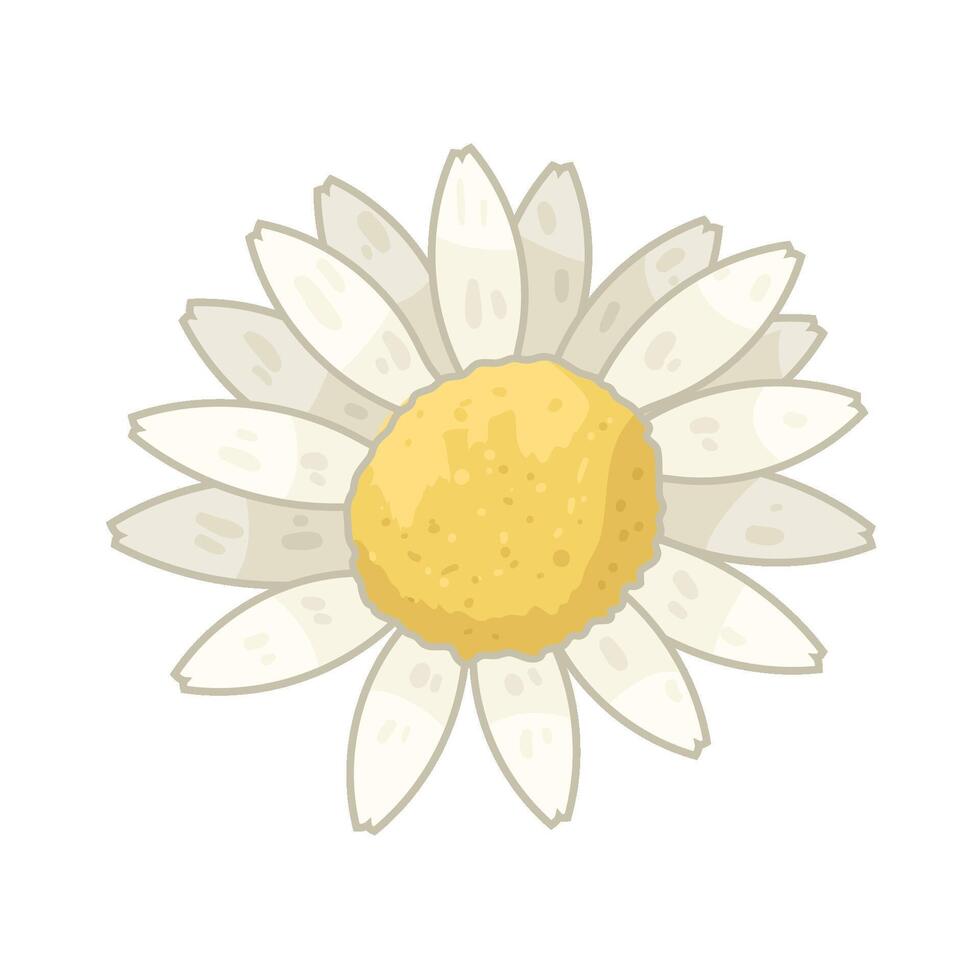 illustration of jasmine vector