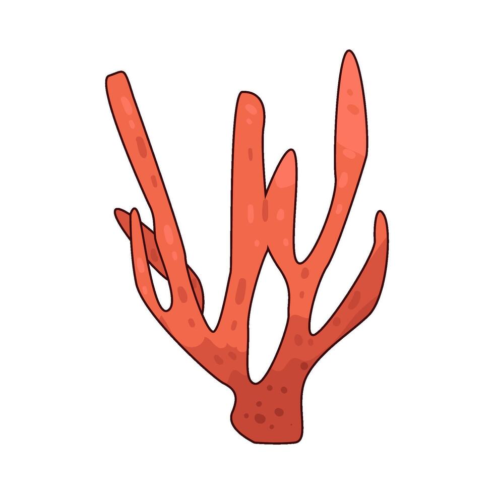 illustration of coral vector