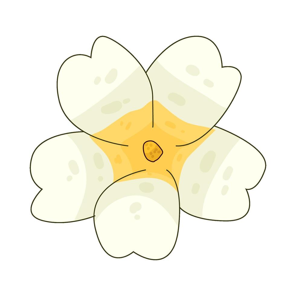 Illustration of jasmine vector