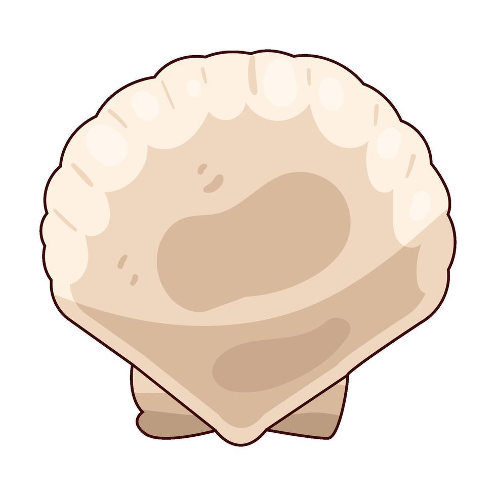 illustration of seashell vector