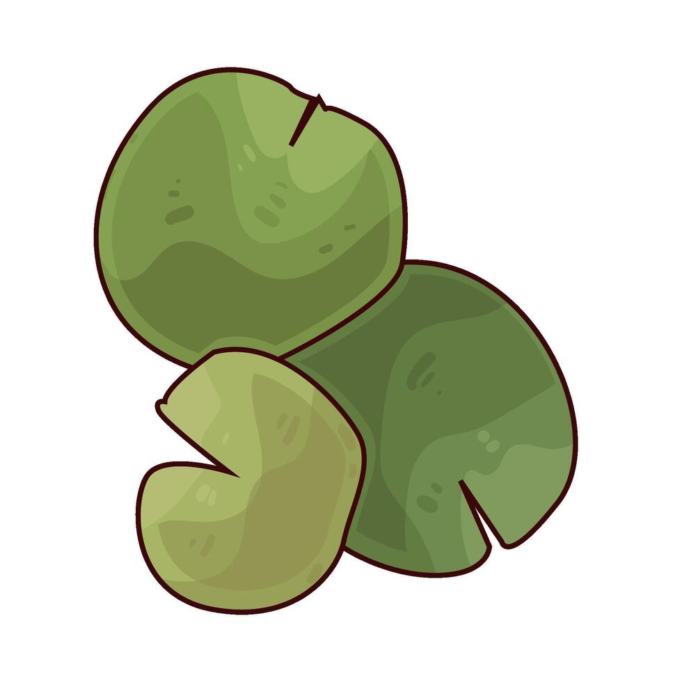 illustration of lotus leaf vector