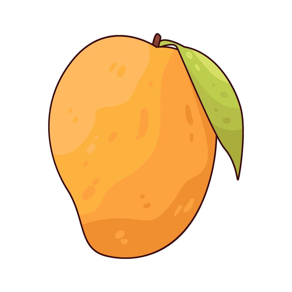 illustration of mango vector