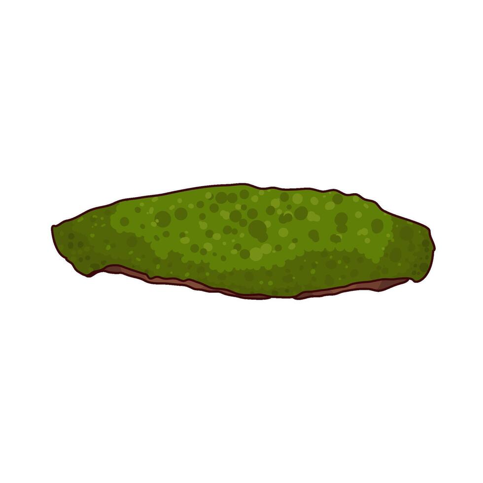 illustration of grass vector