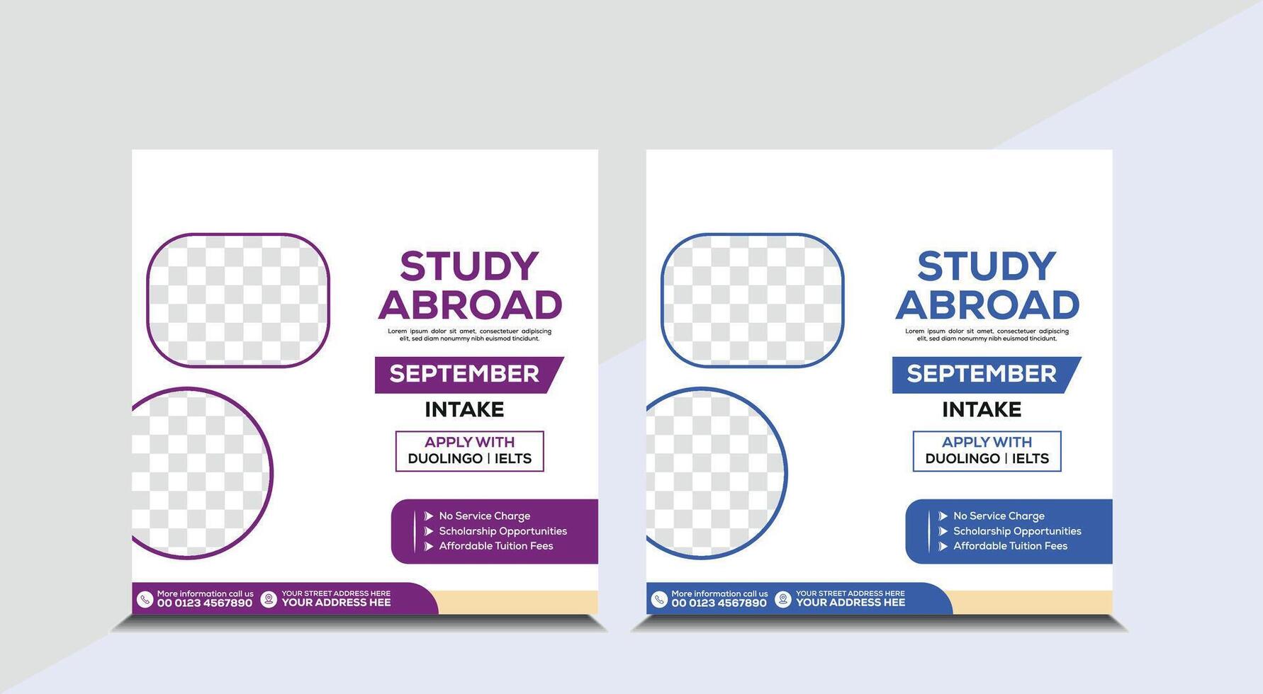 Study aboard poster design, education social post design vector