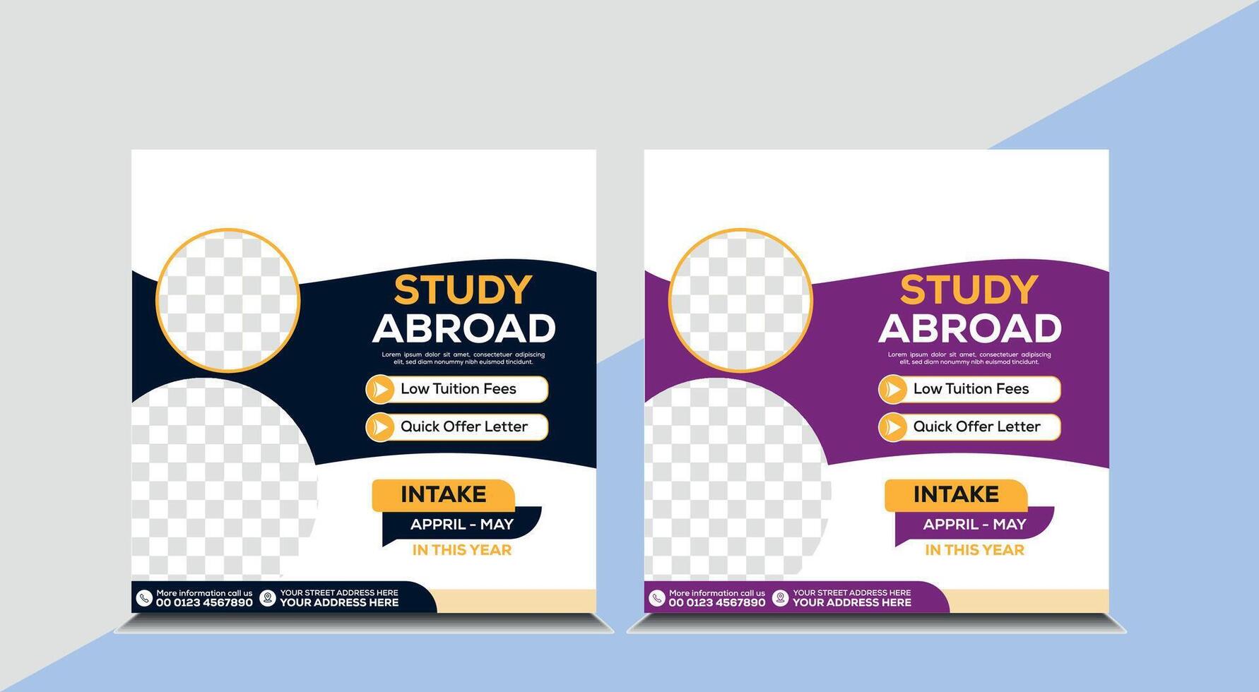 Study in abroad social media post design vector