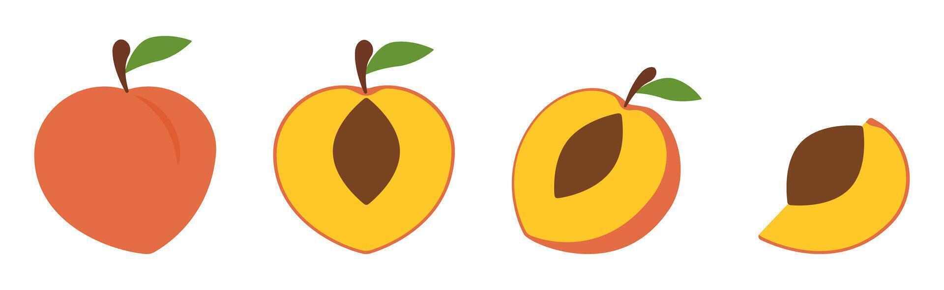 Flat Style Whole and Sliced Peach Illustration Set vector