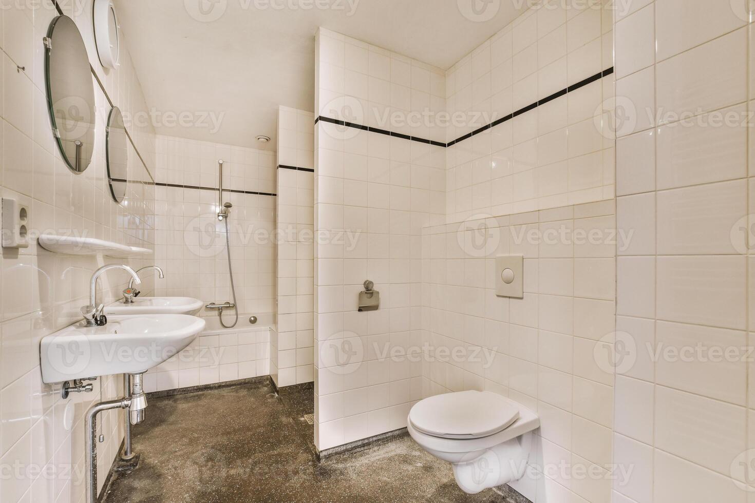 A bathroom with a toilet, sink, and mirror photo