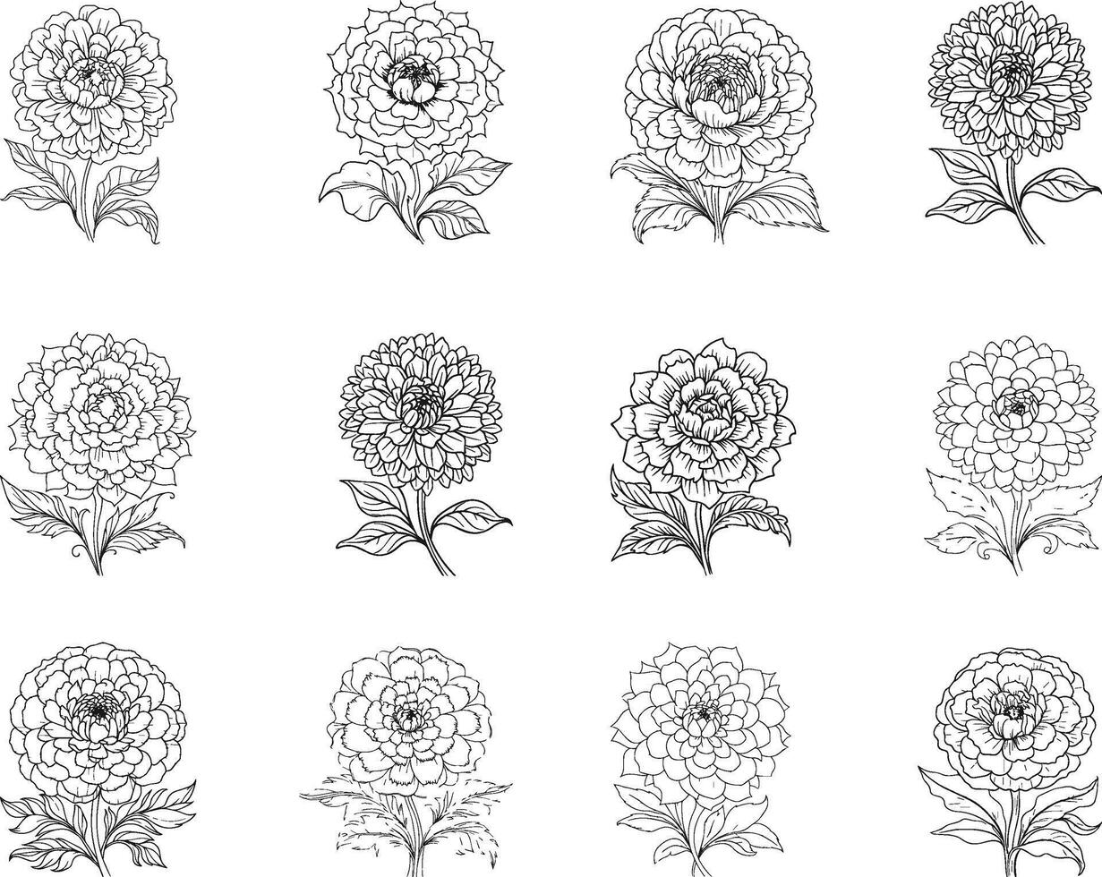 Customizable Ttropical-Flower Outline Art for Design and Logos vector