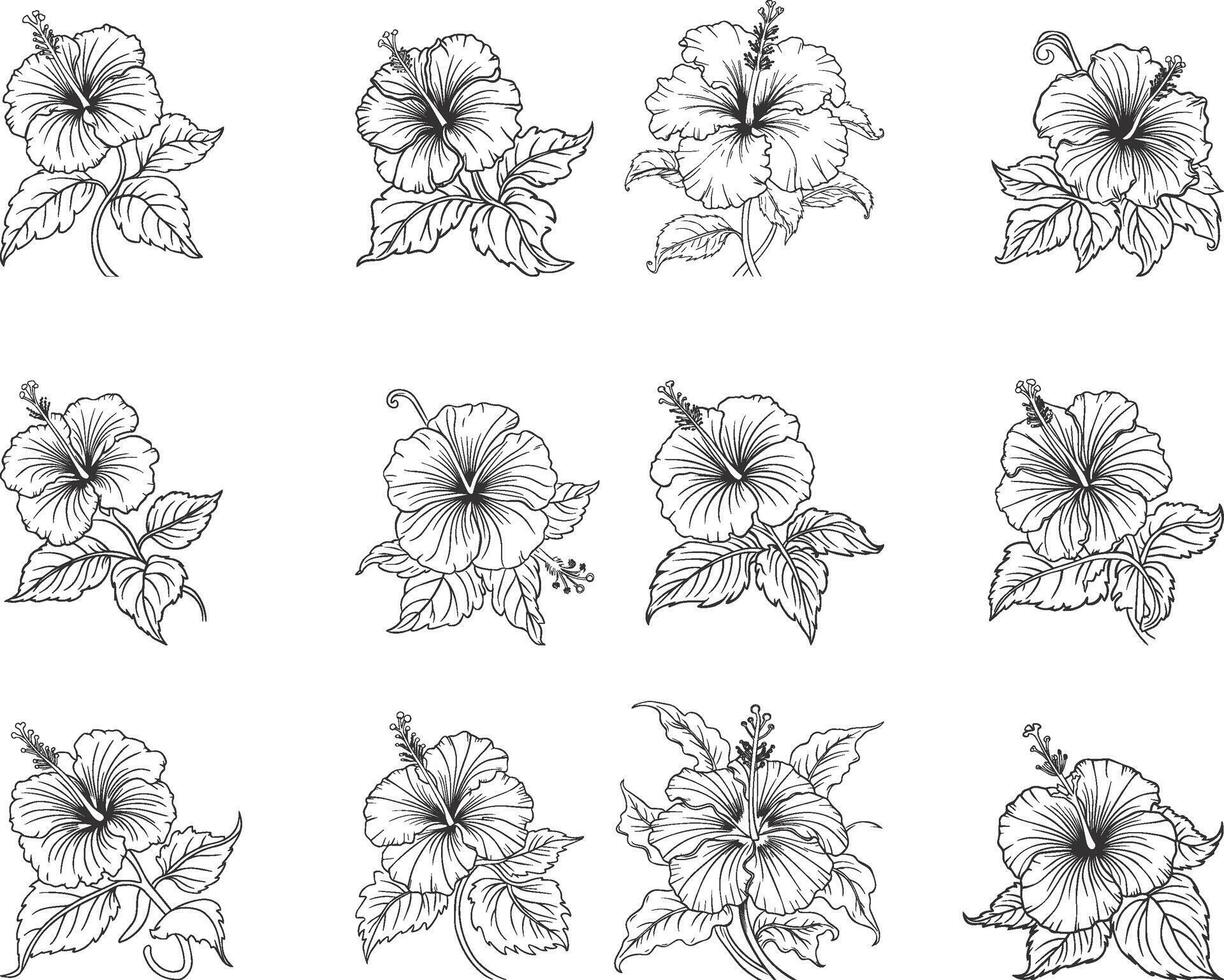 Customizable Hibiscus Flower Outline Isolated for Design vector