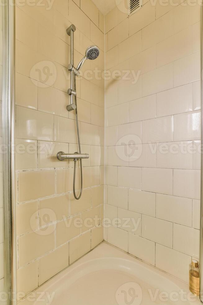 A shower with a shower head and a toilet photo