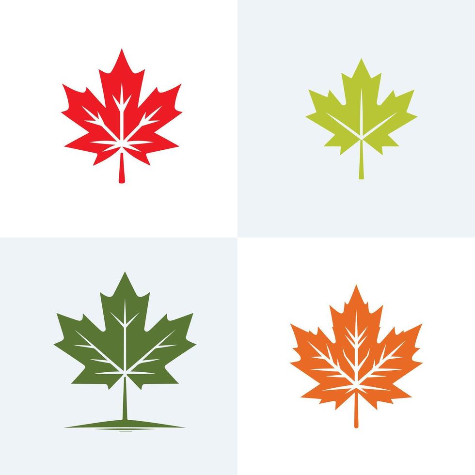 Four different maple leaves on white background vector
