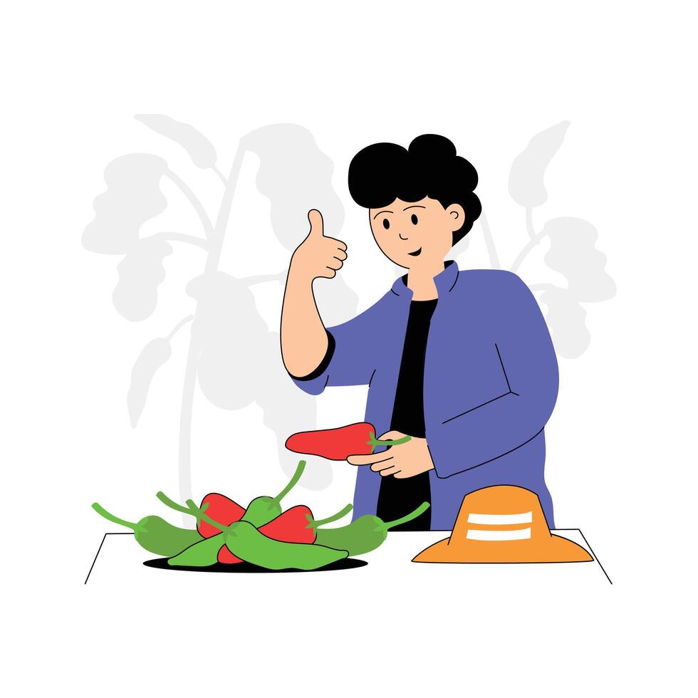 A farmer inspecting and harvesting green chillies vector