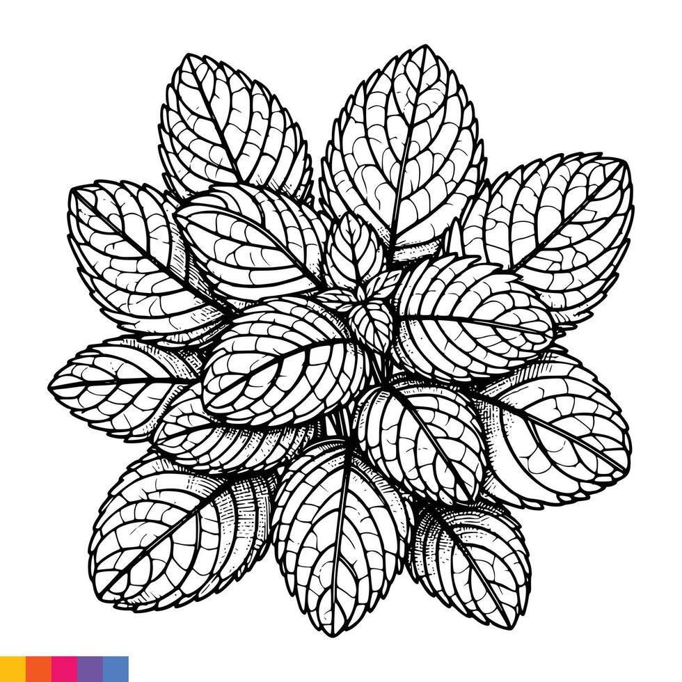 Coloring pages for adults with leaves vector