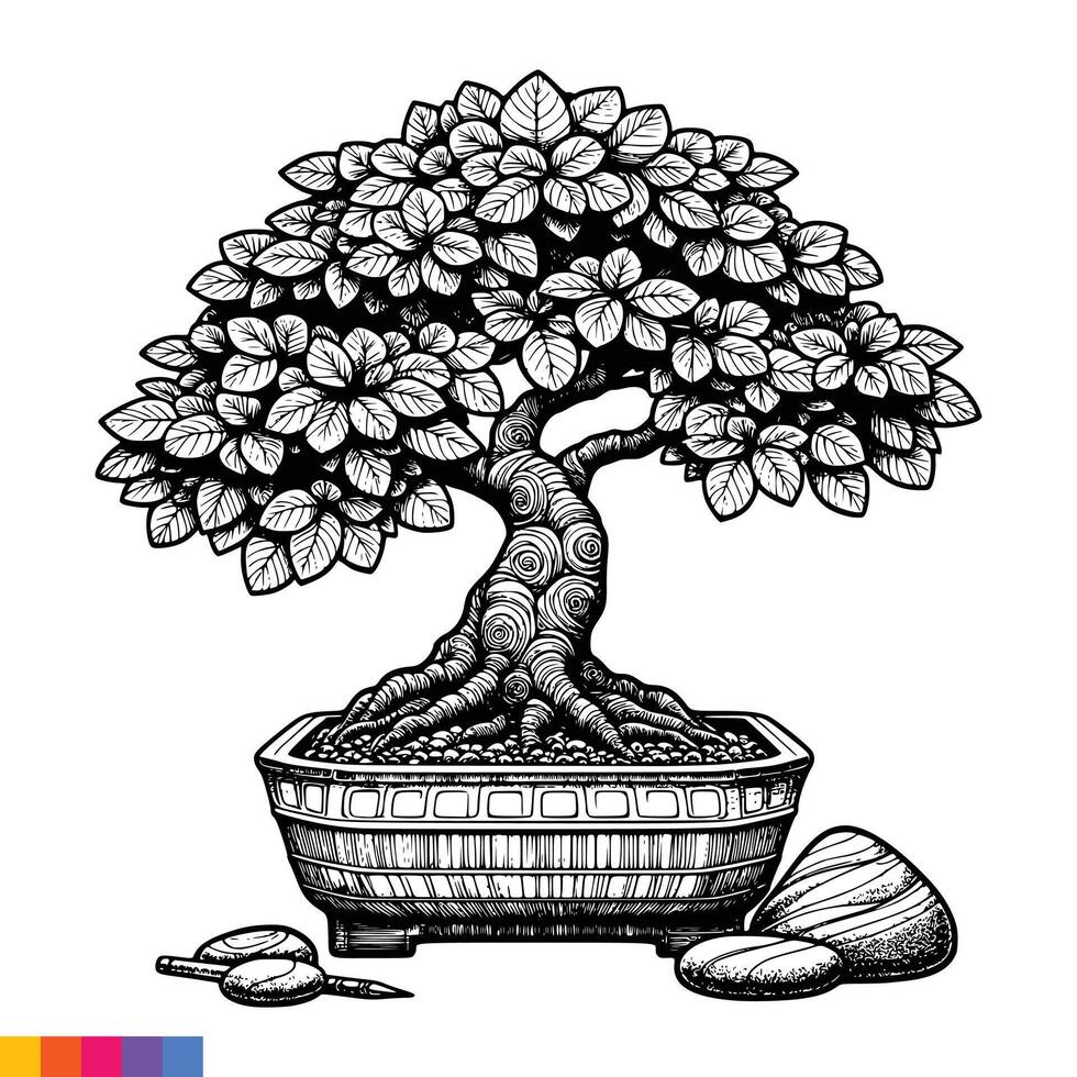 Bonsai tree in a pot with rocks and stones vector