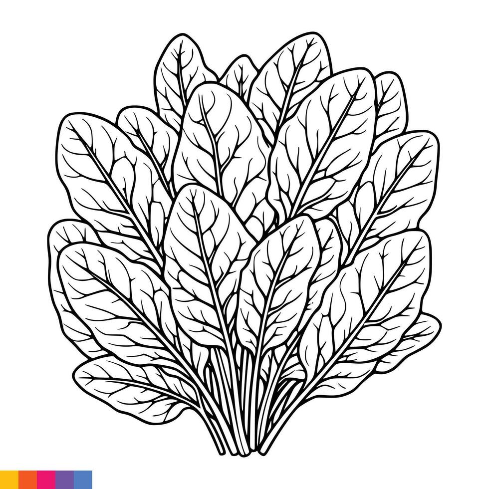 Coloring pages for kids spinach coloring pages vector