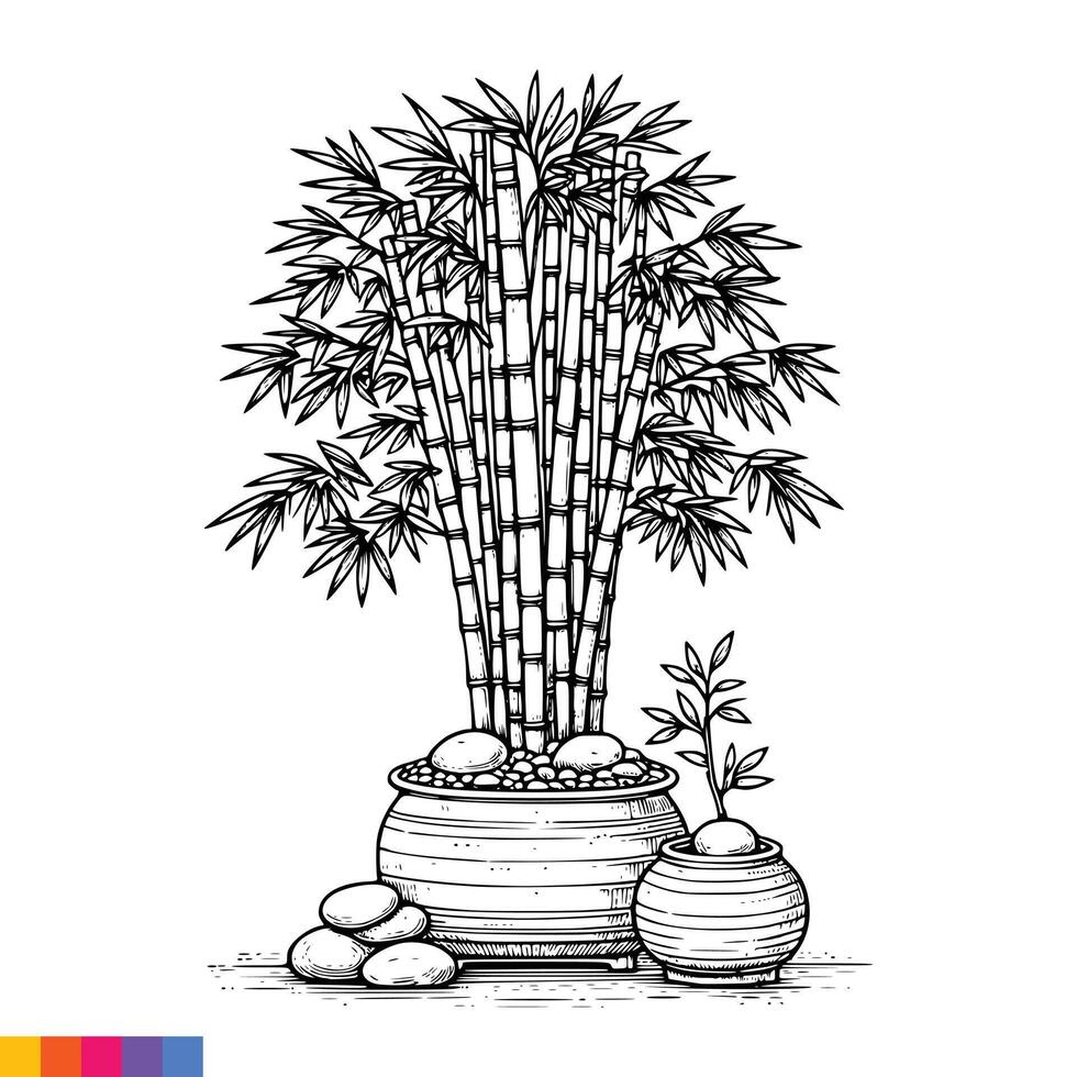 Bamboo plant in pot with stones and bamboo vector