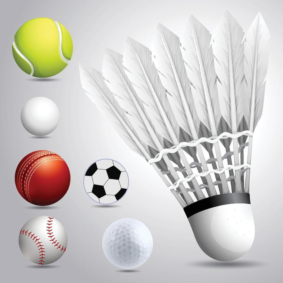 Sport Balls Collection Flat Design vector