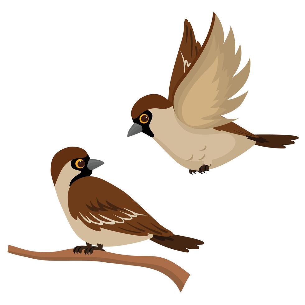 Cute Sparrow bird Flying and sitting vector