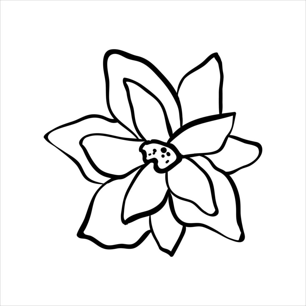 A flower drawing in black and white vector