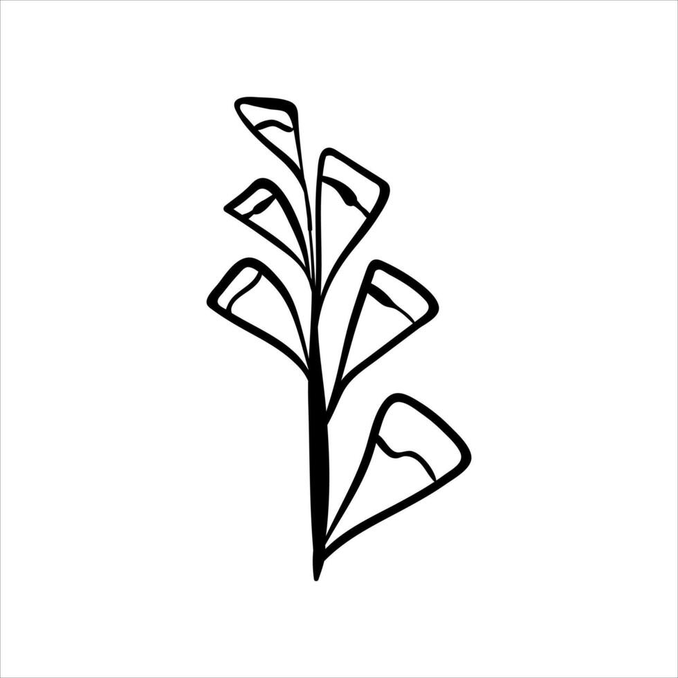 A black and white drawing of a plant vector