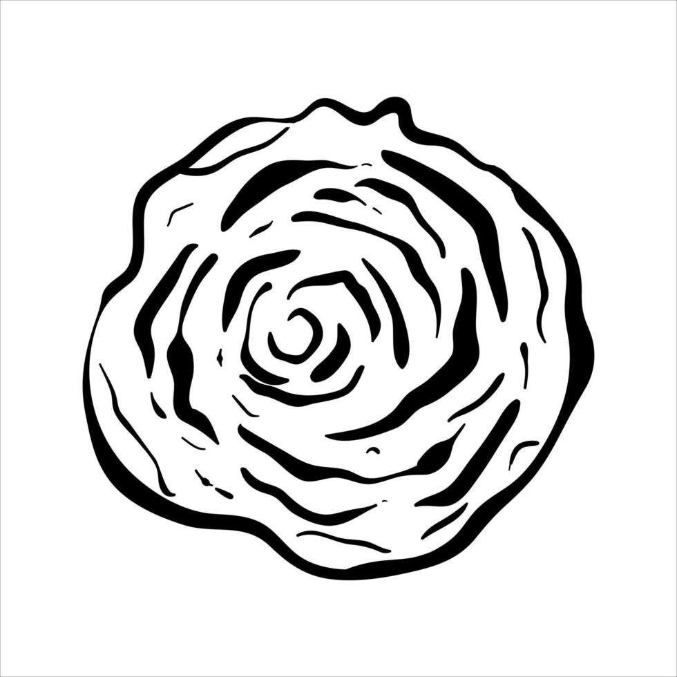 A black and white drawing of a rose vector