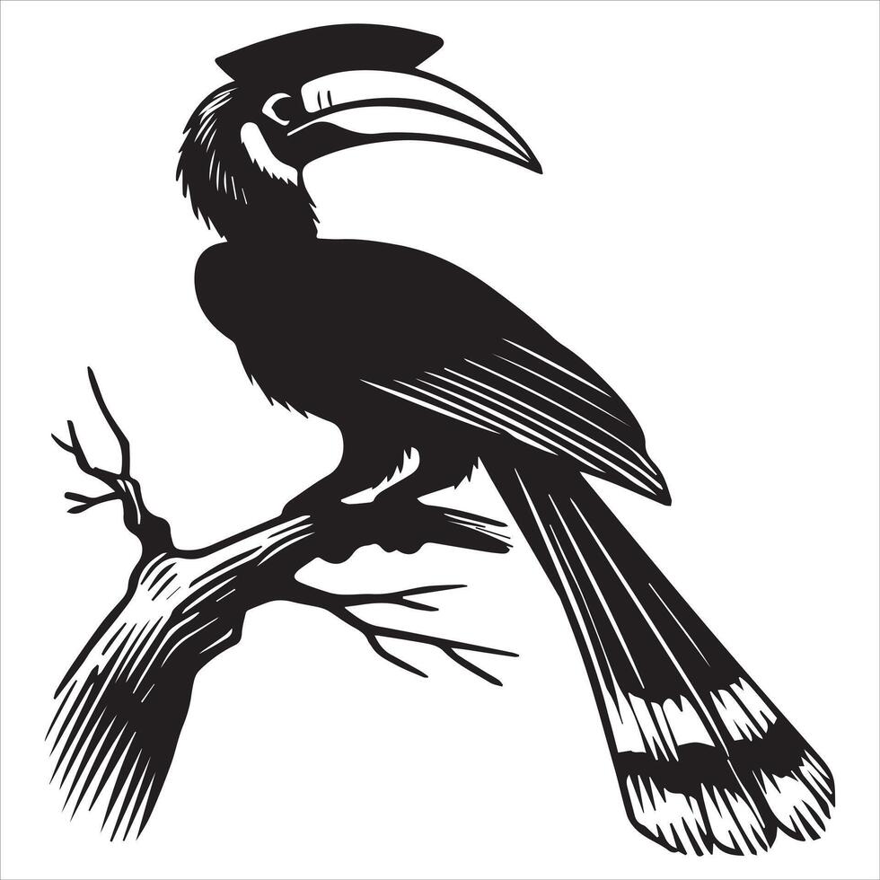A black and white illustration of a toucan sitting on a branch vector