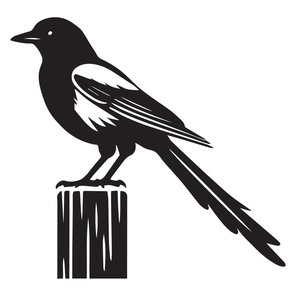 Magpie bird silhouette illustration vector