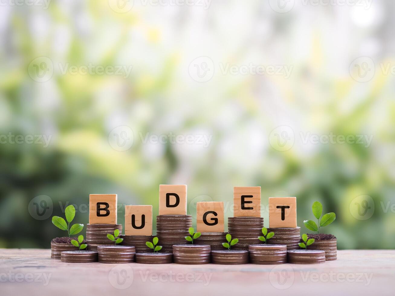 Wooden blocks with the word BUDGET and plants growing up on stack of coins. The concept about budget planning and allocation photo