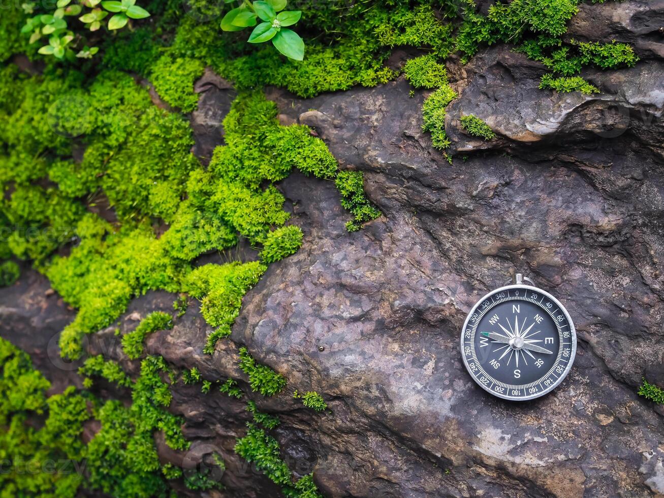 Compass on the rock with green moss background. The concept of world tourism day, Searching the right directions and Travel photo