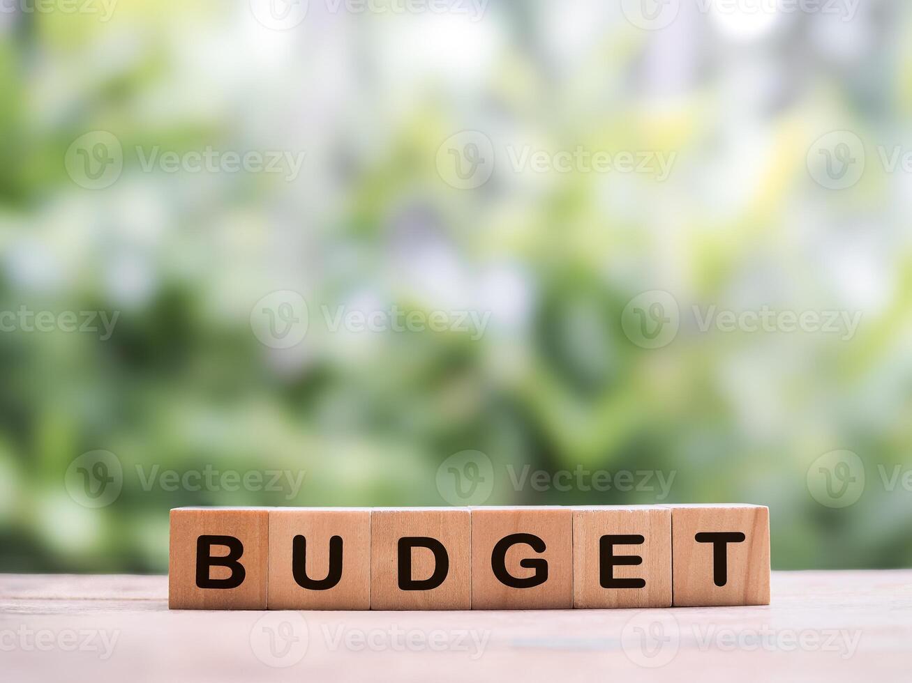 Wooden blocks with the word BUDGET. The concept about budget planning and allocation photo