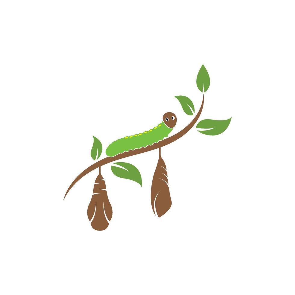 cocoon illustrtion design vector