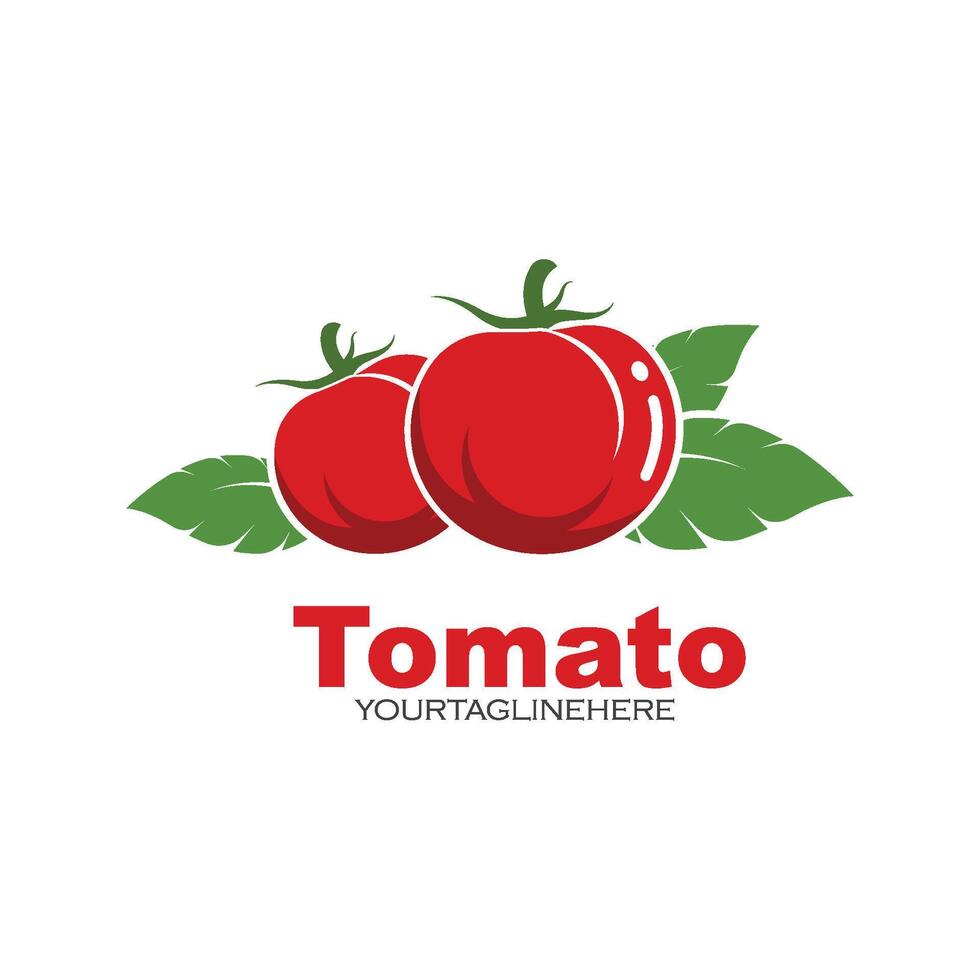 fresh tomato illustration design vector