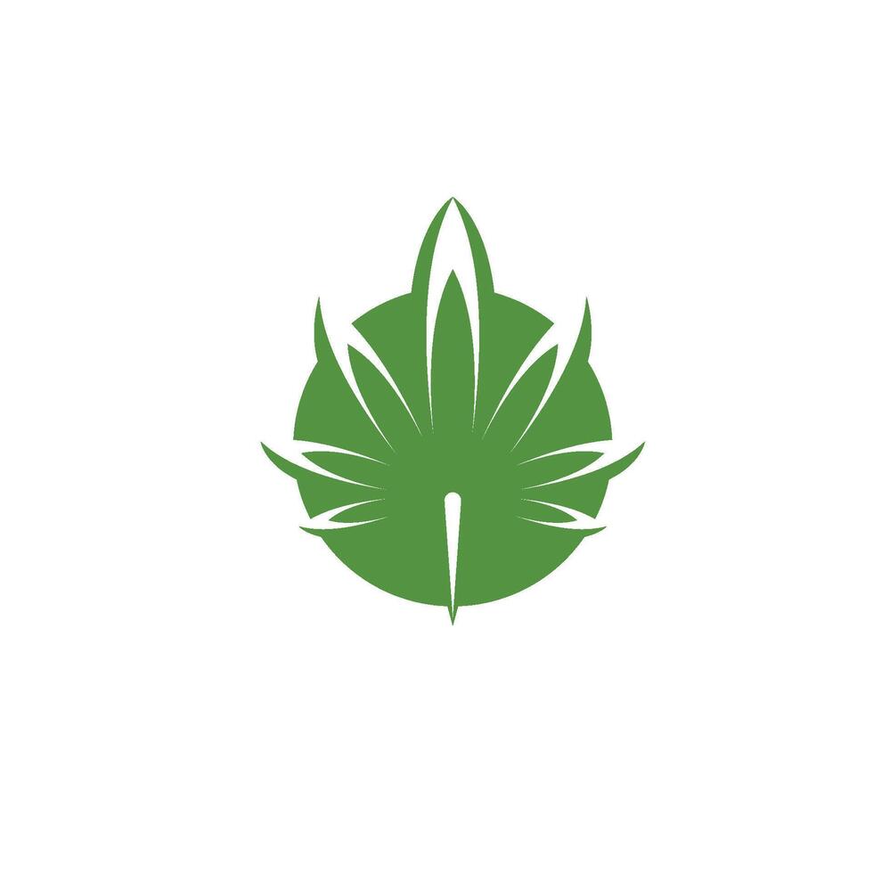 cannabis leaf icon illustration design vector