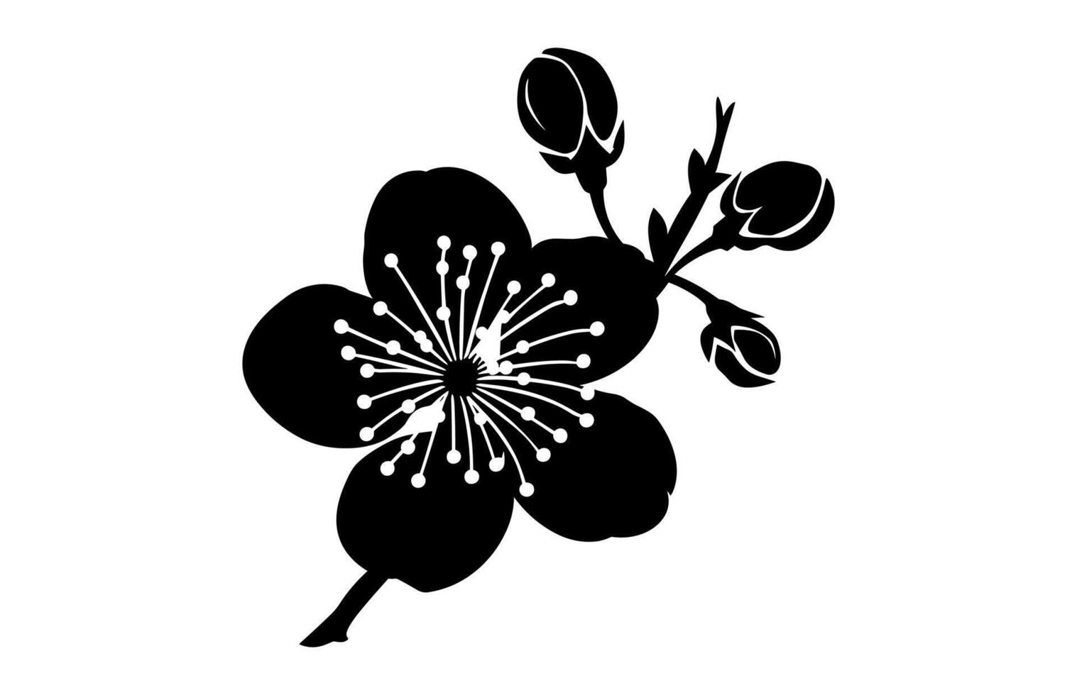 Cherry Blossom Silhouette isolated on a white background vector