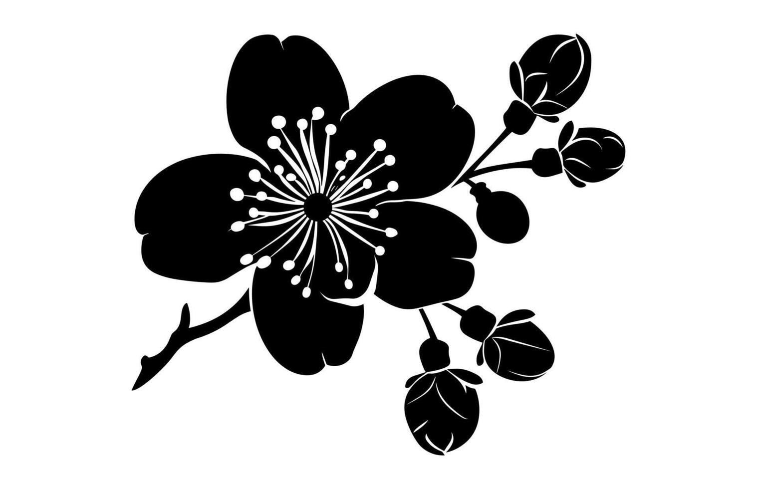 Cherry Blossom Flower Black Silhouette vector