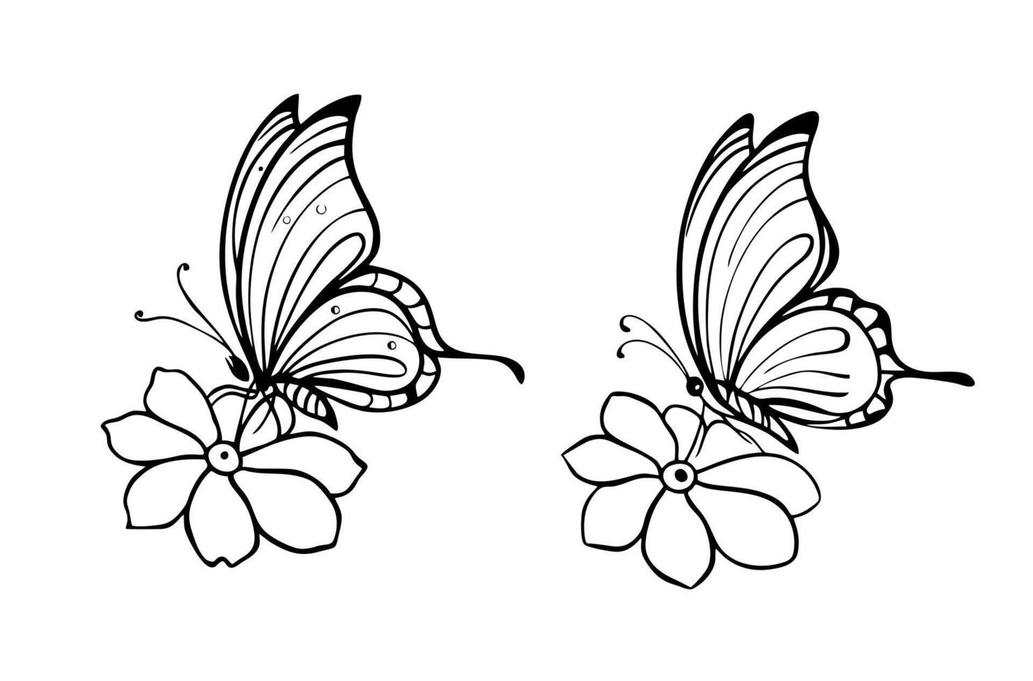 Butterfly silhouette designs for kids vector